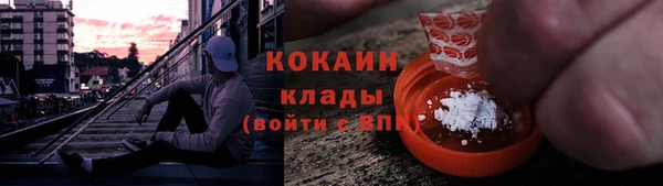 ECSTASY Богданович