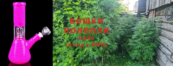 ECSTASY Богданович