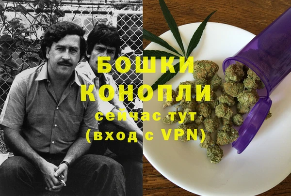 стафф Белокуриха