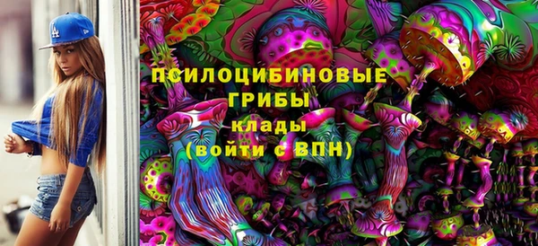 дживик Беломорск