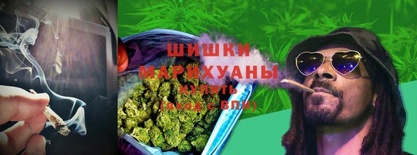 дживик Беломорск