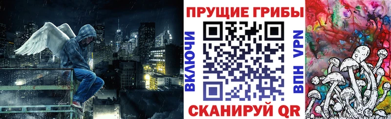 Псилоцибиновые грибы прущие грибы  наркотики  Санкт-Петербург 